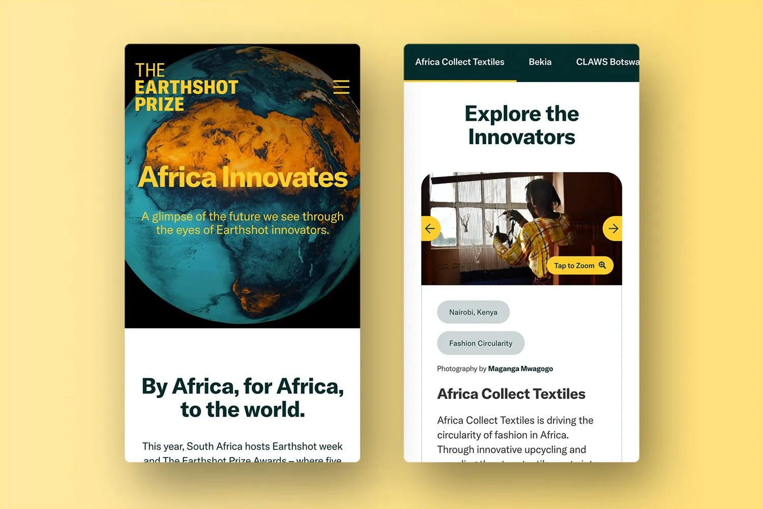 The Earthshot Prize